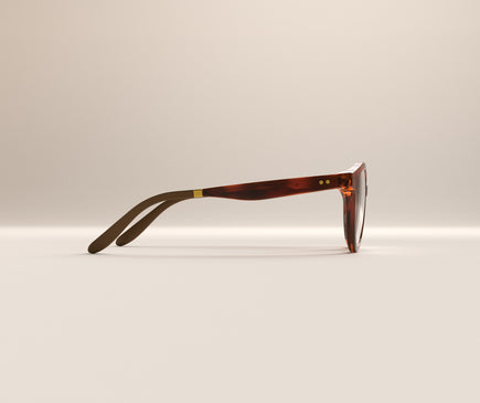 Paris Pecan S Sunny